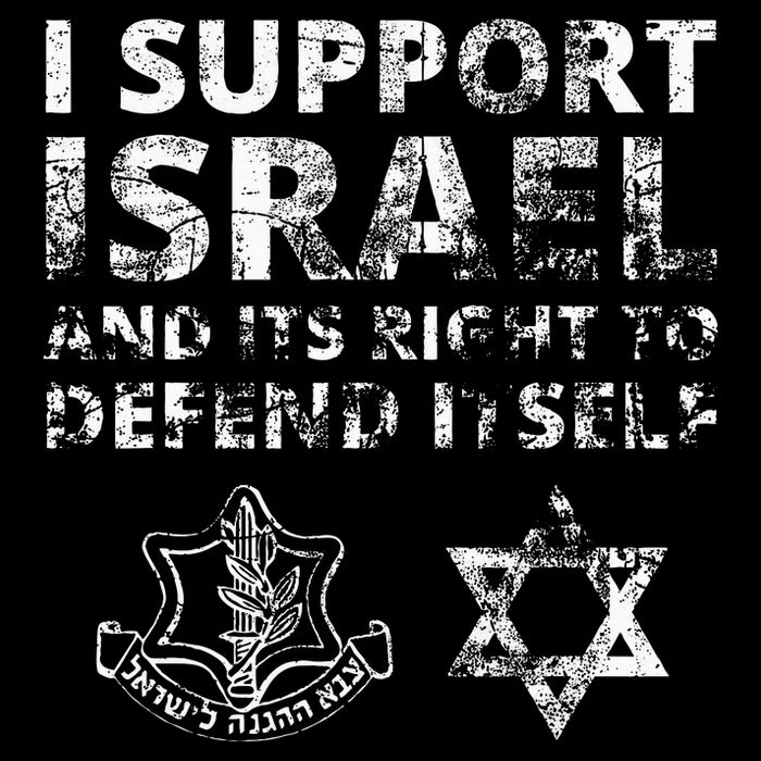 Idf Grunge I Support Israel And Its Right To Defend Itself T-Shirt