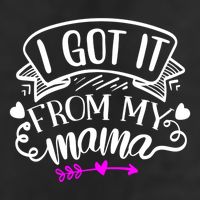 I Got It From My Mama Cute Gift 11oz C Handle Ceramic Mug