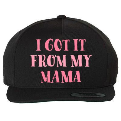 I Got It From My Mama Family Design Cute Gift Wool Snapback Cap