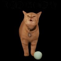 I Go Meow Cat Meme Mug