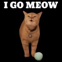 I Go Meow Cat Meme 16 in Basic Backpack