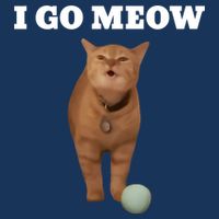 I Go Meow Cat Meme Infant Baby Jersey Bodysuit