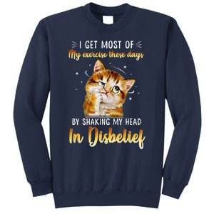 I Get Most Of My Exercise These Day By Shaking My Head Cat Sweatshirt