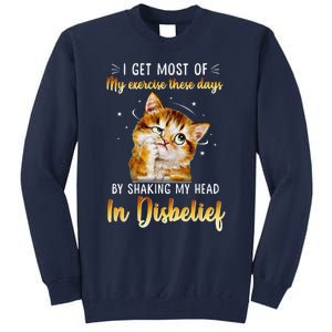 I Get Most Of My Exercise These Day By Shaking My Head Cat Tall Sweatshirt