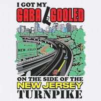I Got My Gaba Gooled On The Side Of The New Jersey Turnpike Mesh Reversible Basketball Jersey Tank