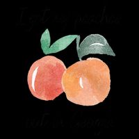 I Got My Peaches Out In Georgia Lyrics Song Funny Fruit Zip Tote Bag