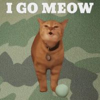 I Go Meow Cat Meme Legacy Tie Dye Trucker Hat