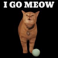I Go Meow Cat Meme Drawstring Bag