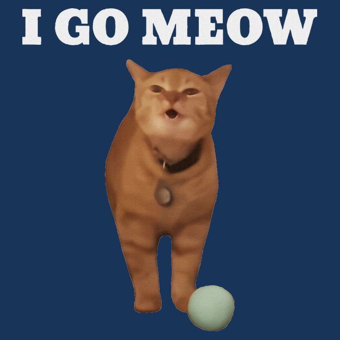 I Go Meow Cat Meme Infant Baby Jersey Bodysuit