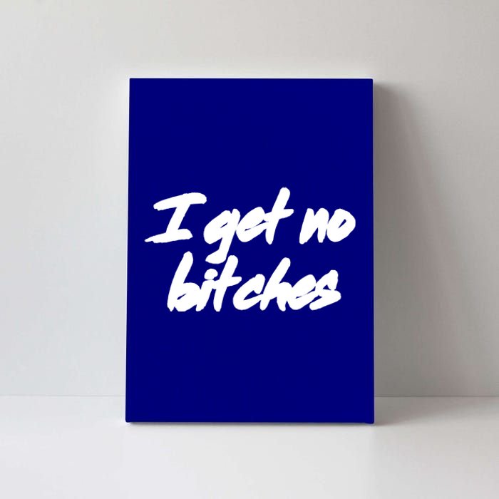 I Get No Bitches Funny Ironic Meme Trendy Quote Gift Canvas