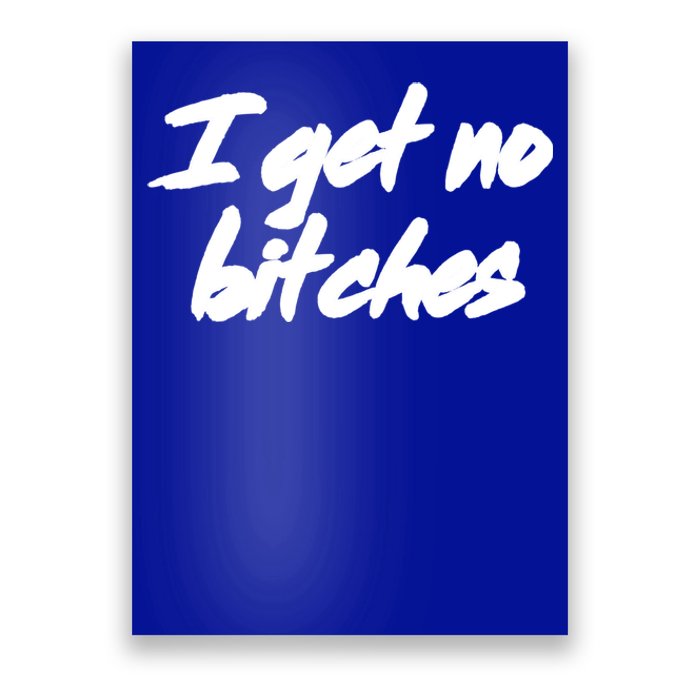 I Get No Bitches Funny Ironic Meme Trendy Quote Gift Poster