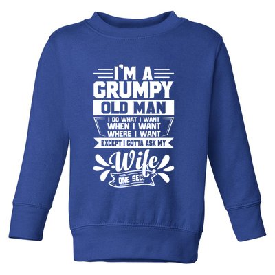 I'm Grumpy Old I Do What I Want When I Want Where I Want Gift Toddler Sweatshirt