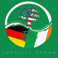Irish German Roots American Grown With Flag T-Shirt