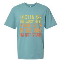 I Gotta See The Candy First Then I Get In The Van Stupid Sueded Cloud Jersey T-Shirt
