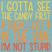 I Gotta See The Candy First Then I Get In The Van Stupid Sueded Cloud Jersey T-Shirt
