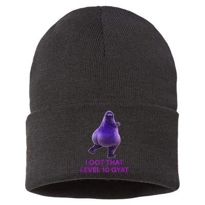 I Got That Level 10 Gyat Gyatt Meme Funny Gift Sustainable Knit Beanie