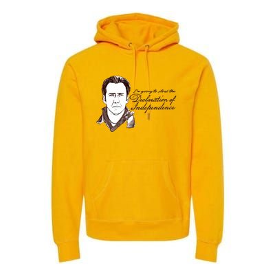 IM Going To Steal The Declaration Of Independence Premium Hoodie