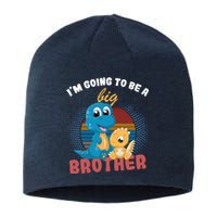 IM Going To Be A Big Brother 2024 Dinosaur Sustainable Beanie