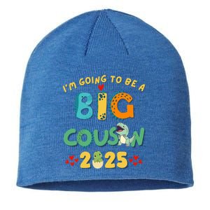 IM Going To Be A Big Cousin 2025 Cute Dinosaur Brother Gift Sustainable Beanie