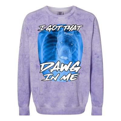 I Got That Dawg In Me Xray Pitbull Ironic Meme Viral Colorblast Crewneck Sweatshirt