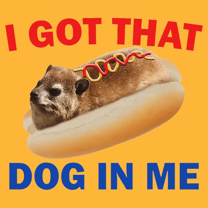 I Got That Dog In Me Hyrax Dank Sustainable Knit Beanie