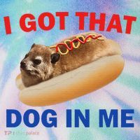 I Got That Dog In Me Hyrax Dank Legacy Tie Dye Trucker Hat