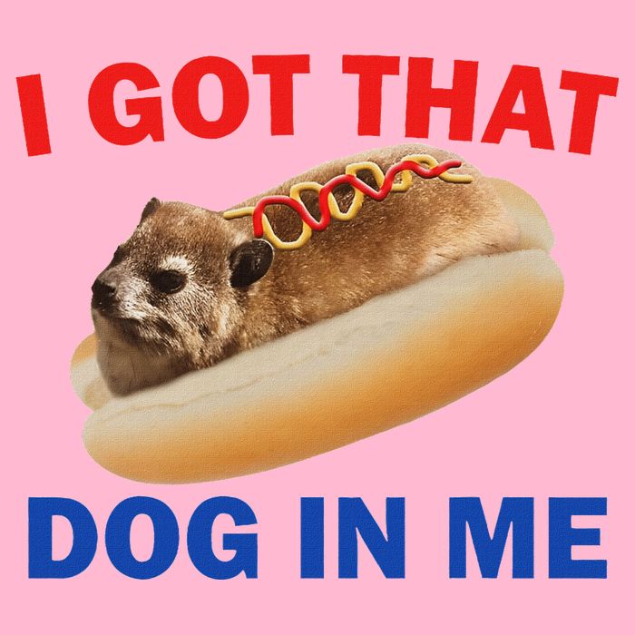 I Got That Dog In Me Hyrax Dank V-Neck T-Shirt