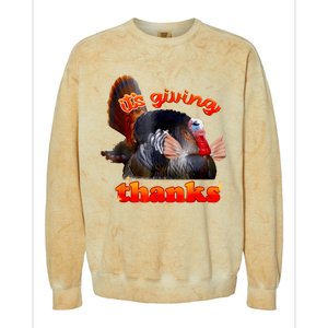 It’S Giving Thanks Turkey Thanksgiving Colorblast Crewneck Sweatshirt