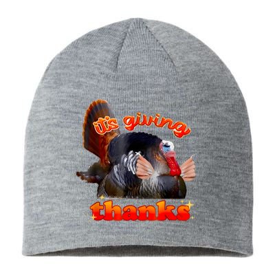 It’S Giving Thanks Turkey Thanksgiving Sustainable Beanie