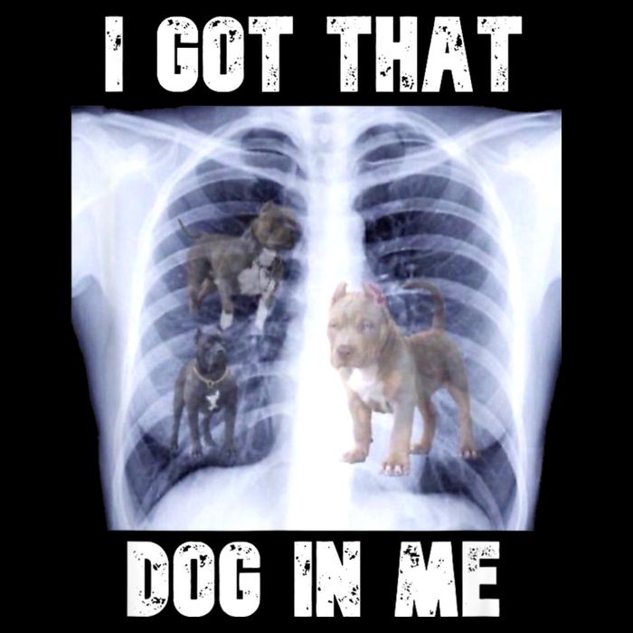 I Got That Dog In Me Xray Meme Flexfit Unipanel Trucker Cap