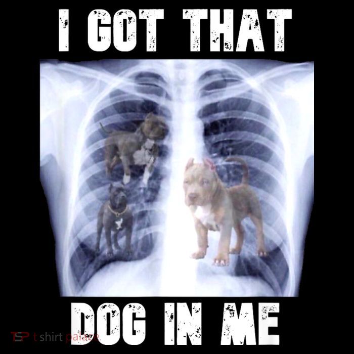 I Got That Dog In Me Xray Meme Tall T-Shirt