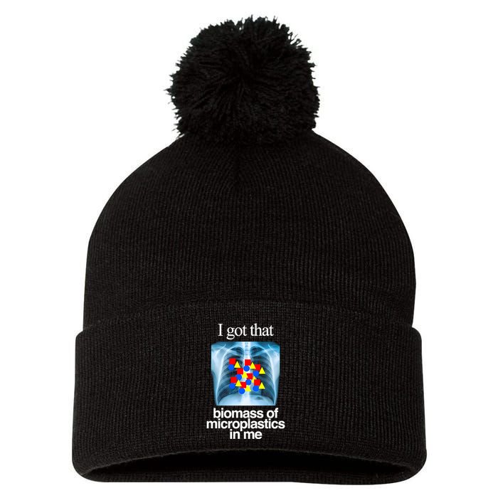 I Got That Biomass Of Microplastics In Me Pom Pom 12in Knit Beanie