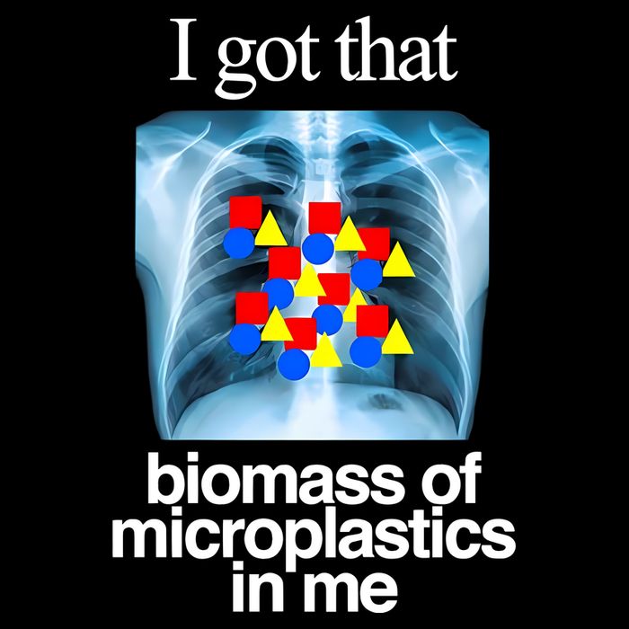 I Got That Biomass Of Microplastics In Me Toddler T-Shirt