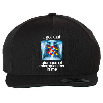 I Got That Biomass Of Microplastics In Me Wool Snapback Cap