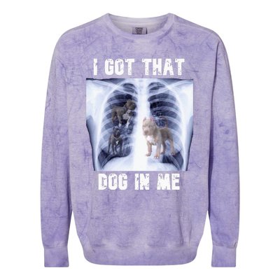 I Got That Dog In Me Xray Meme Colorblast Crewneck Sweatshirt