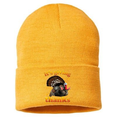 It’S Giving Thanks Turkey Thanksgiving Sustainable Knit Beanie