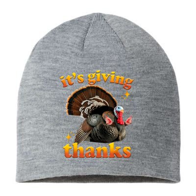 It’S Giving Thanks Turkey Thanksgiving Sustainable Beanie