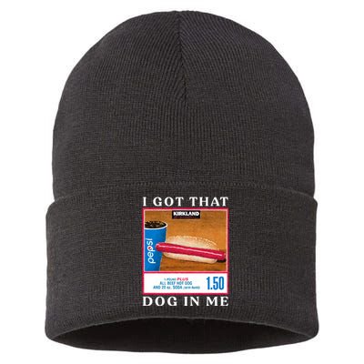 I Got That Hot Dog In Me Hot Dog Sustainable Knit Beanie