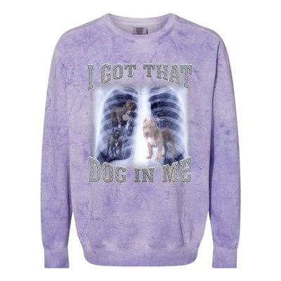 I Got That Dog In Me Xray Meme Colorblast Crewneck Sweatshirt