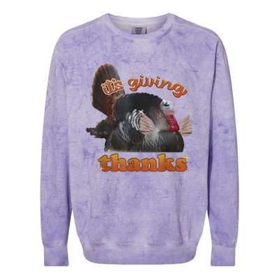 It’S Giving Thanks Turkey Thanksgiving Colorblast Crewneck Sweatshirt