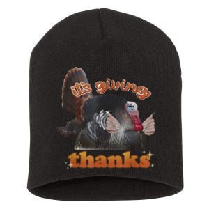 It’S Giving Thanks Turkey Thanksgiving Short Acrylic Beanie