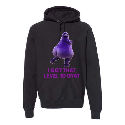 I Got That Level 10 Gyat Gyatt Meme Funny Meme Premium Hoodie