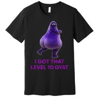 I Got That Level 10 Gyat Gyatt Meme Funny Meme Premium T-Shirt