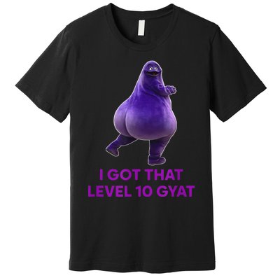 I Got That Level 10 Gyat Gyatt Meme Funny Meme Premium T-Shirt