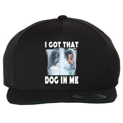 I Got That Dog In Me Xray Meme Funny Friend Wool Snapback Cap