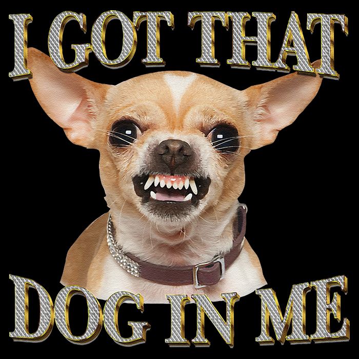 I Got That Dog In Me Funny Dog Chihuahua Lovers Gift 16 in Basic Backpack