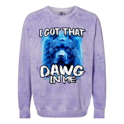 I Got That Dawg In Me Xray Pitbull Ironic Meme Viral Quote Colorblast Crewneck Sweatshirt