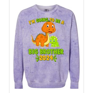 IM Going To Be A Big Brother 2024 Cute Dinosaurs Colorblast Crewneck Sweatshirt