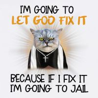 I'm Going To Let God Fix It Funny Cat Toddler T-Shirt