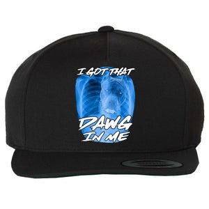 I Got That Dawg In Me Xray Pitbull Ironic Meme Viral Wool Snapback Cap